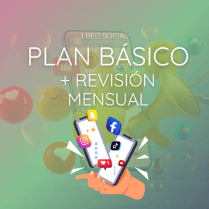 Plan Básico Mensual + Revisión